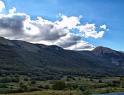 IMG_1079 copy